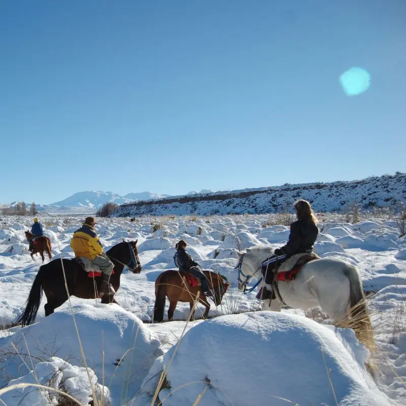 Horseback riding in the snow near the Andes foothills