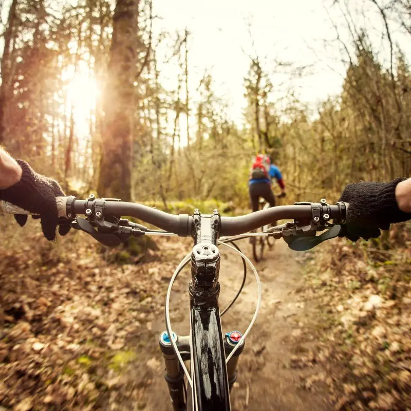 Andar de bicicleta pelas trilhas da floresta ao nascer do sol no Vale de Uco.