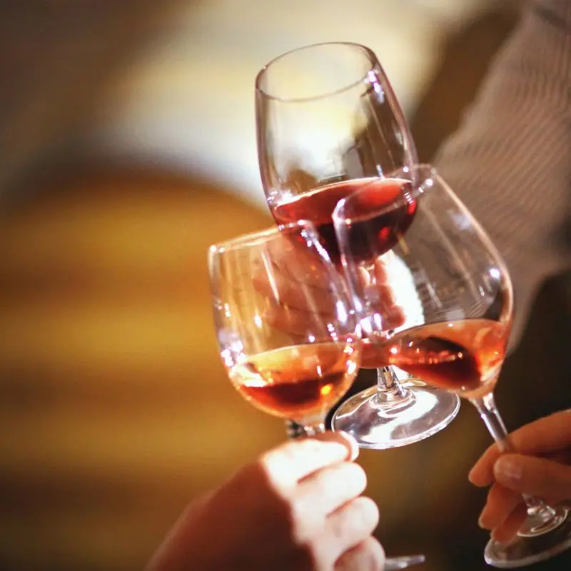Brinde com vinhos tintos e rosés durante uma visita a uma adega no Vale de Uco.