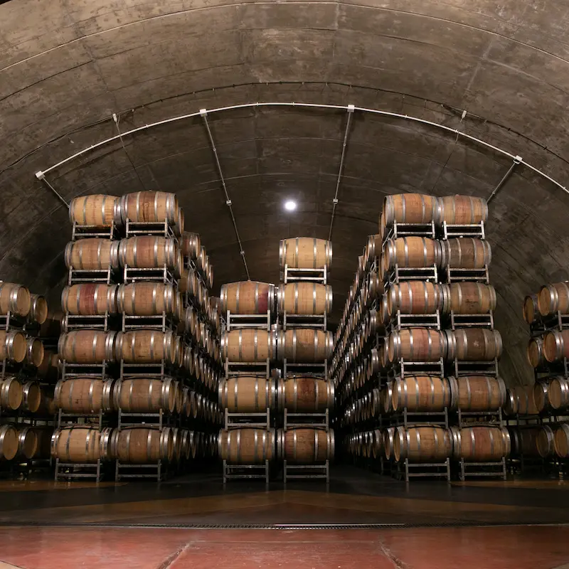Barrel aging room at Salentein's iconic cross-shaped cellar.