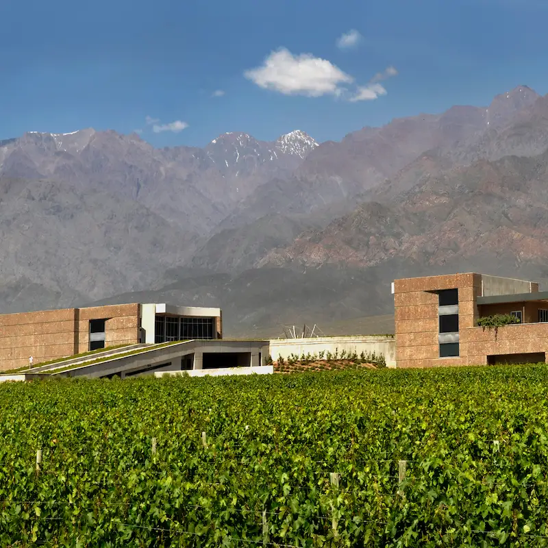 Modern winemaking meets the Andes at Bodega Diamandes.