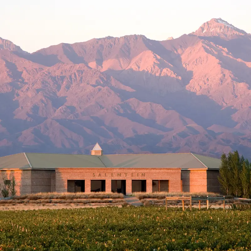 Sunset glow over Salentein, framed by the Andes mountains.