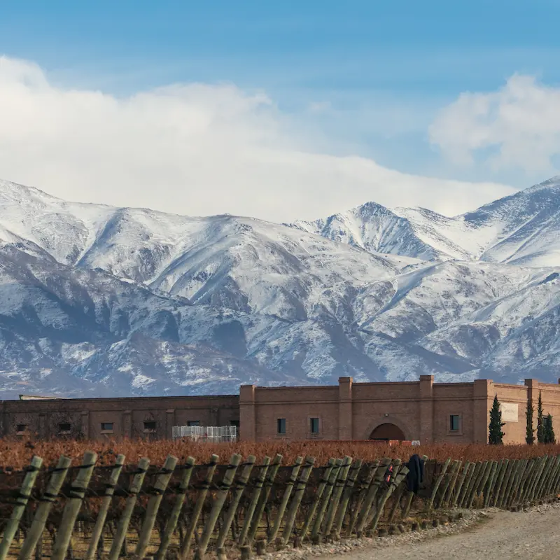 Andeluna winery framed by snow-covered Andes in northern Uco Valley.