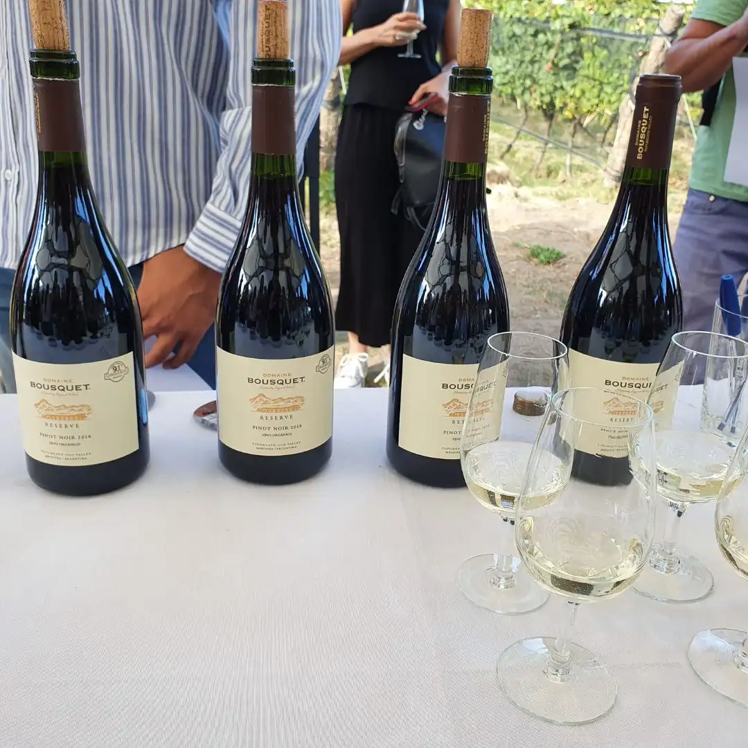 Wine tasting at Domaine Bousquet – Uco Valley Cooking Class