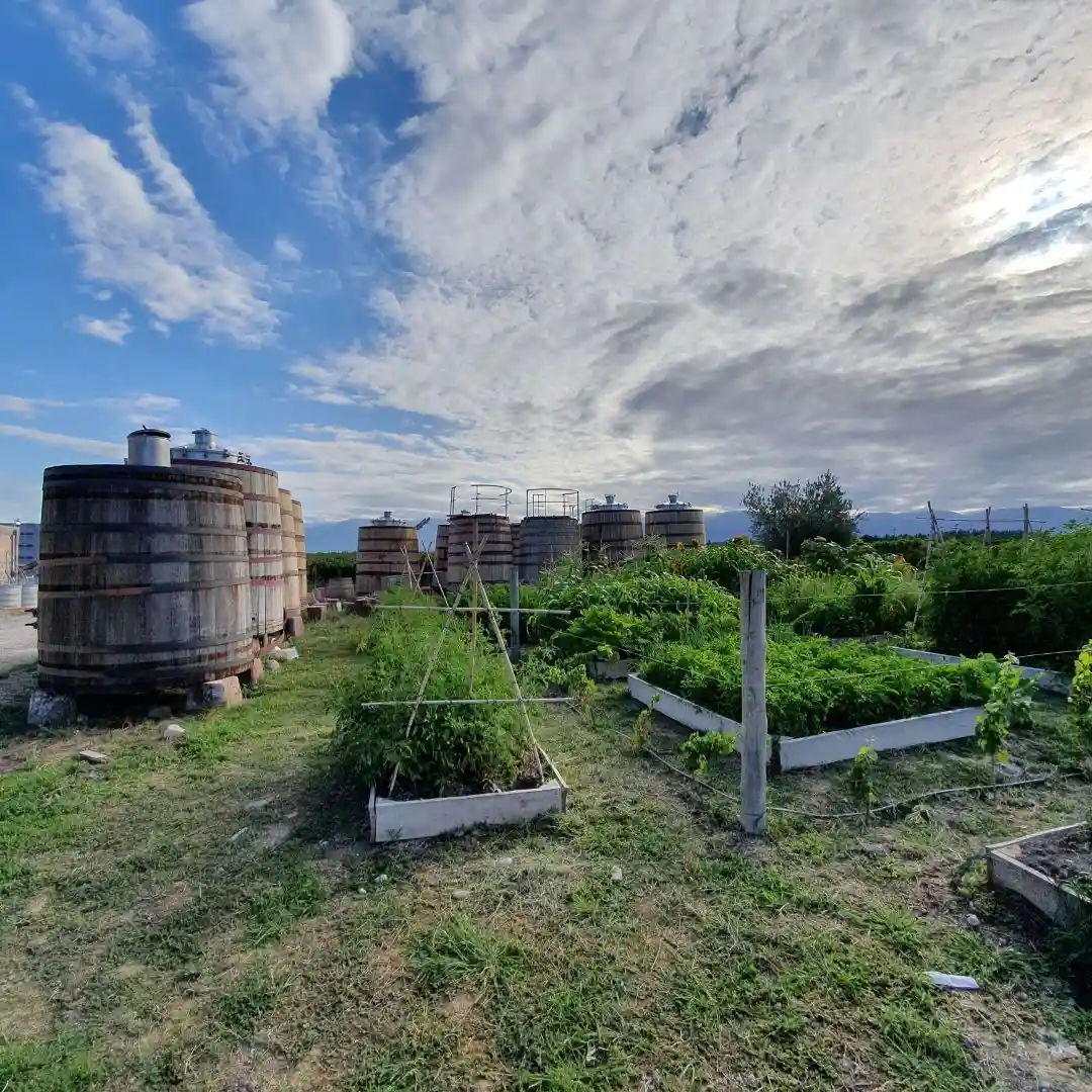 Organic garden at Domaine Bousquet – Cooking Class in Uco Valley