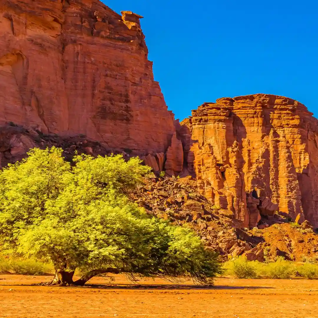 Scenic view of Talampaya National Park cliffs and desert landscape