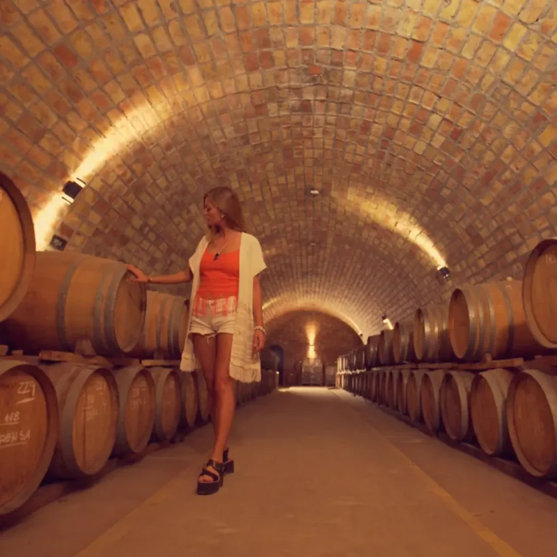 Ruta del Vino desde San Rafael - Visita a bodegas.