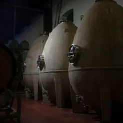 Tanques de vinho de concreto tradicionais dentro da vinícola Bodega Norton