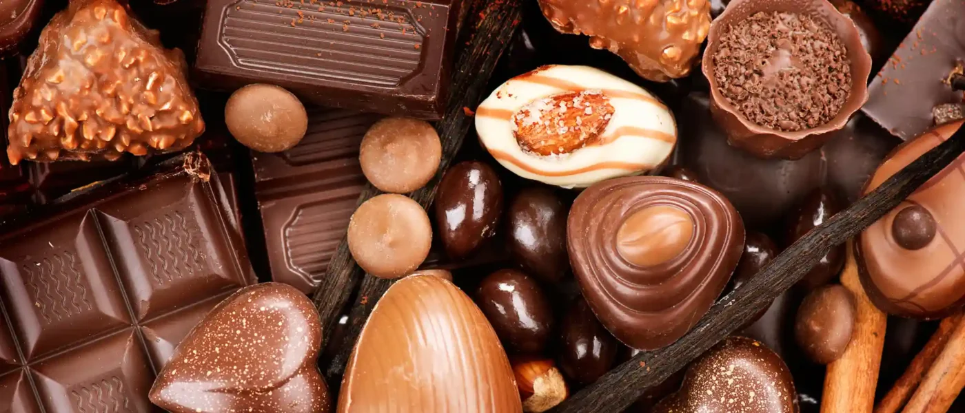 Mendoza chocolate tour