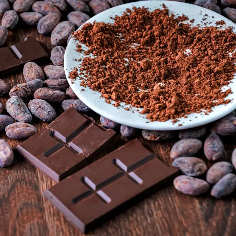 Cacao beans and chocolate pieces used in artisanal chocolate production in Mendoza
