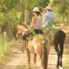 Shared horseback riding experience in Mendoza with travelers riding through scenic countryside trails