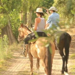 Shared horseback riding experience in Mendoza with travelers riding through scenic countryside trails