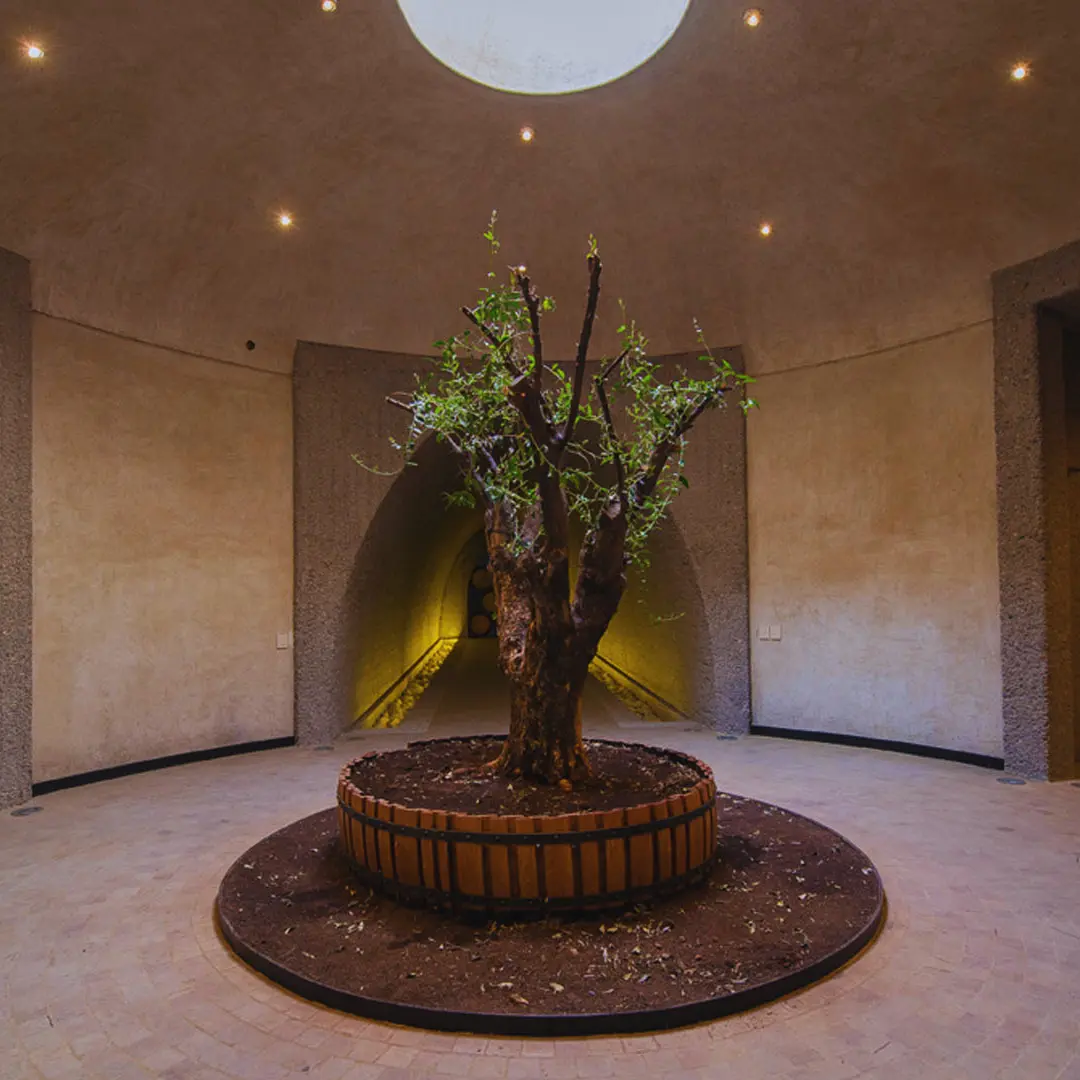 Interior architecture and wine cellar entrance at Krontiras Winery in Mendoza.