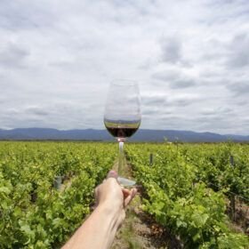 Wine tasting in a Mendoza vineyard with the Andes in the background — SAK Wine & Travel