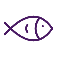sak-icon-fish inform-latinoamericano (es-419) español