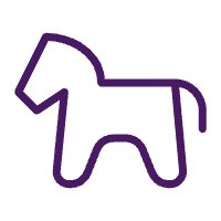 sak-icon-horse informação