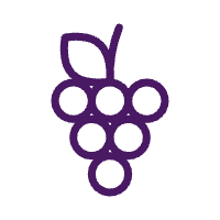 sak-icon-vineyard