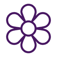 sak-icon-wellness informação