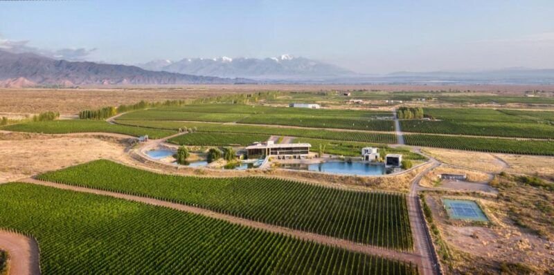 Aerial view of Casa de Uco vineyards, lagoon and winery with the Andes in the background, Uco Valley